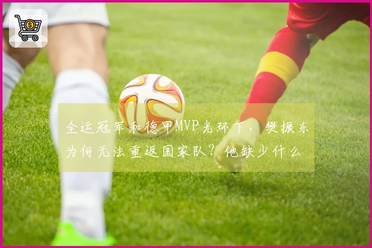 全运冠军和德甲MVP光环下，樊振东为何无法重返国家队？他缺少什么？