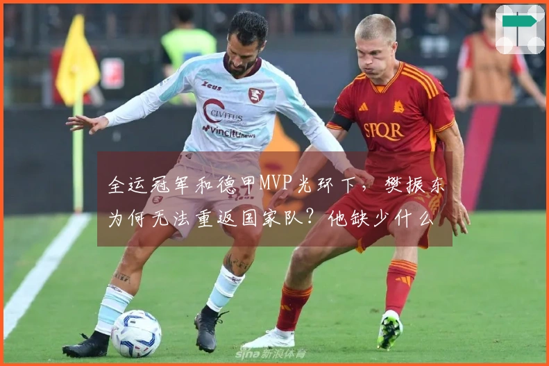 全运冠军和德甲MVP光环下，樊振东为何无法重返国家队？他缺少什么？