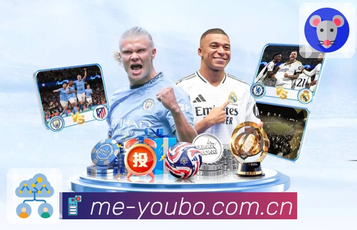 专题回顾与复盘内容